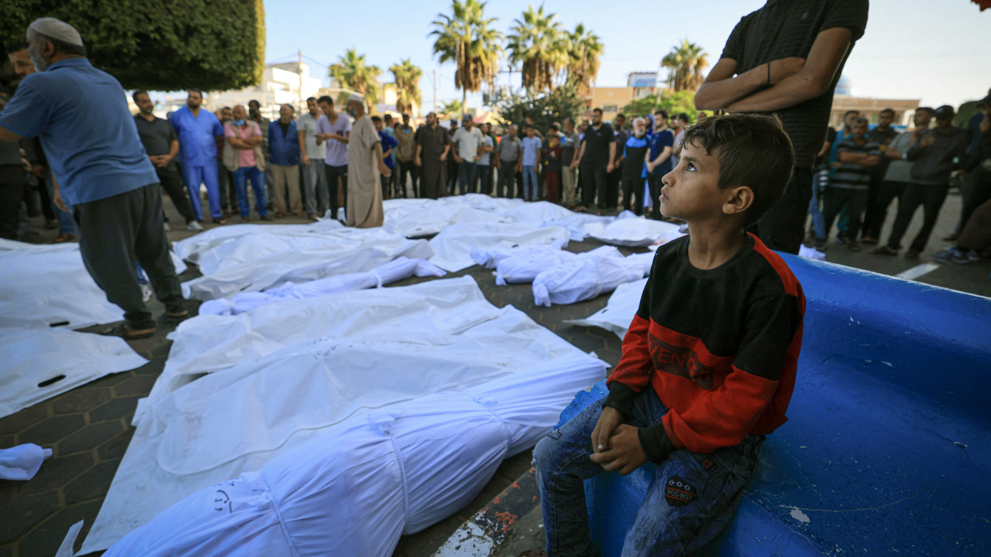 A Palestinian child sits next to the wrapped bodies of those killed in Israeli bombardment in Deir el-Balah on 6 November 2023 (AFP)