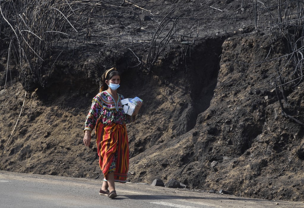 In the wilaya of Tizi Ouzou, the summer wildfires destroyed more than 25,000 hectares of forest (AFP/Ryad Kramdi)