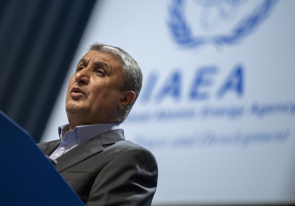 Chief of the Atomic Energy Organisation of Iran Mohammad Eslami 