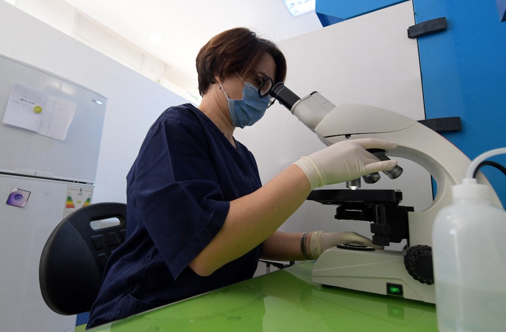Biologiste et maître de conférences en biologie de la reproduction, Khadija Kacem Berejeb travaille sur un microscope d’ovocytes avant congélation, le 9 février 2022 à Tunis (AFP/Fethi Belaid)
