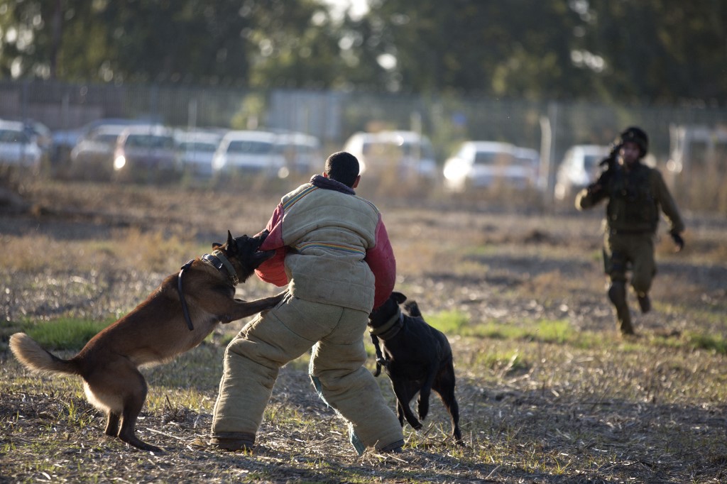 Israeli soldiers and their dogs 