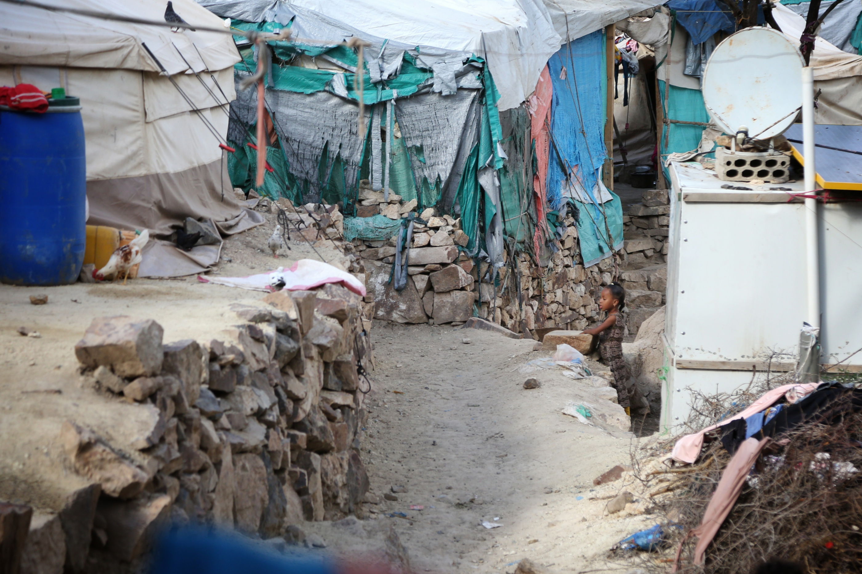 Displaced people in Yemen, Taiz