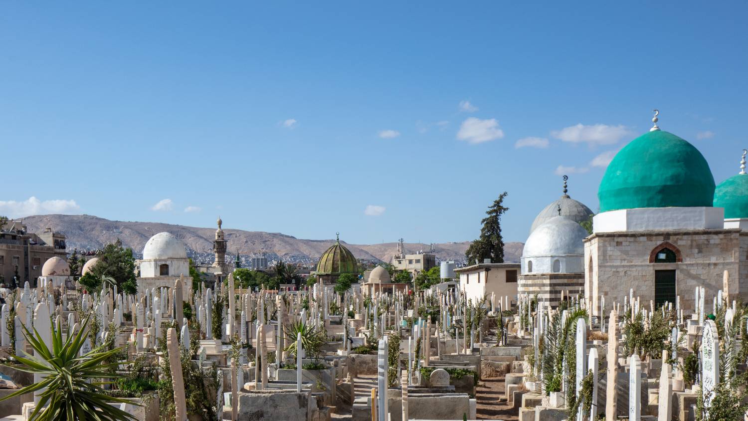 Jebel Qassyun, seen in the distance from Bab el Saghir cemetery in Damascus, is said to have gotten its red hue from the blood of Abel after Cain killed him at the site (Zirrar Ali)