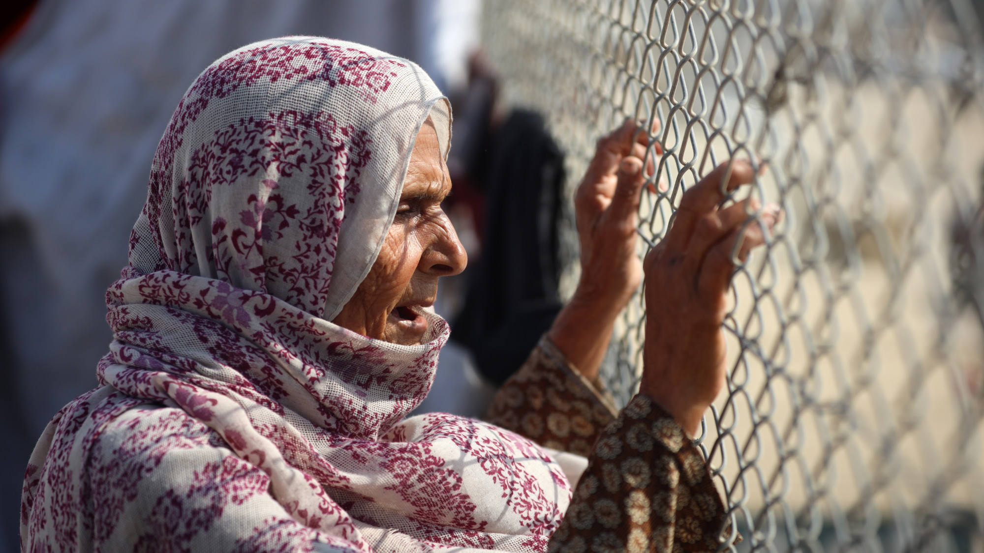 A displaced Palestinian woman looks through a fence in a tent camp in Khan Younis, southern Gaza Strip, on 9 November 2024 (Majdi Fathi/NurPhoto via Reuters)
