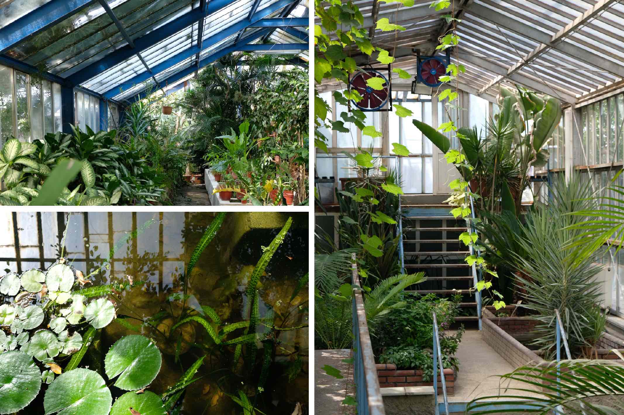 Istanbul Botanical Garden