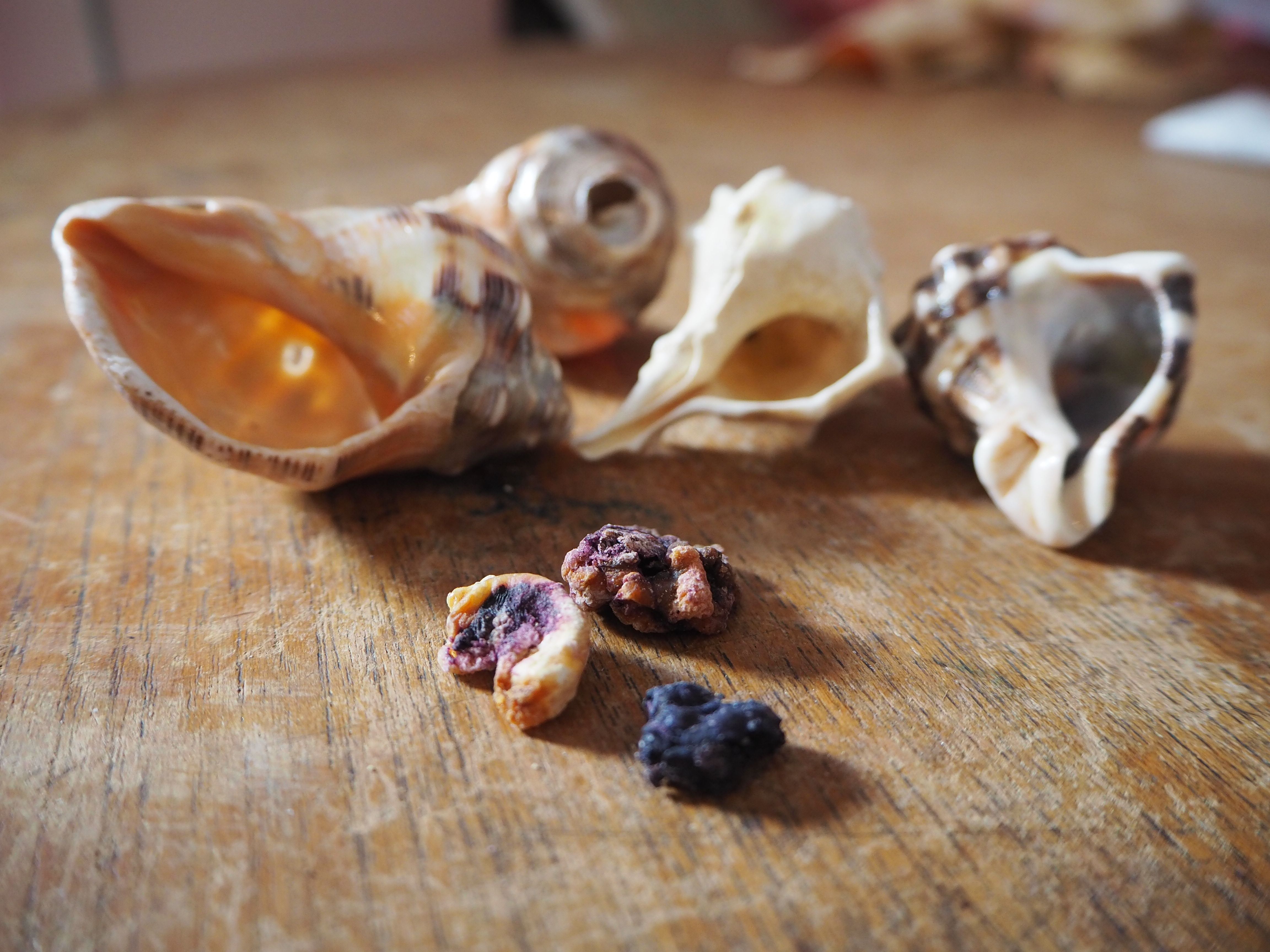 It takes 120 pounds of snails to make just one gram of pure purple dye powder, in a labour-intensive process.