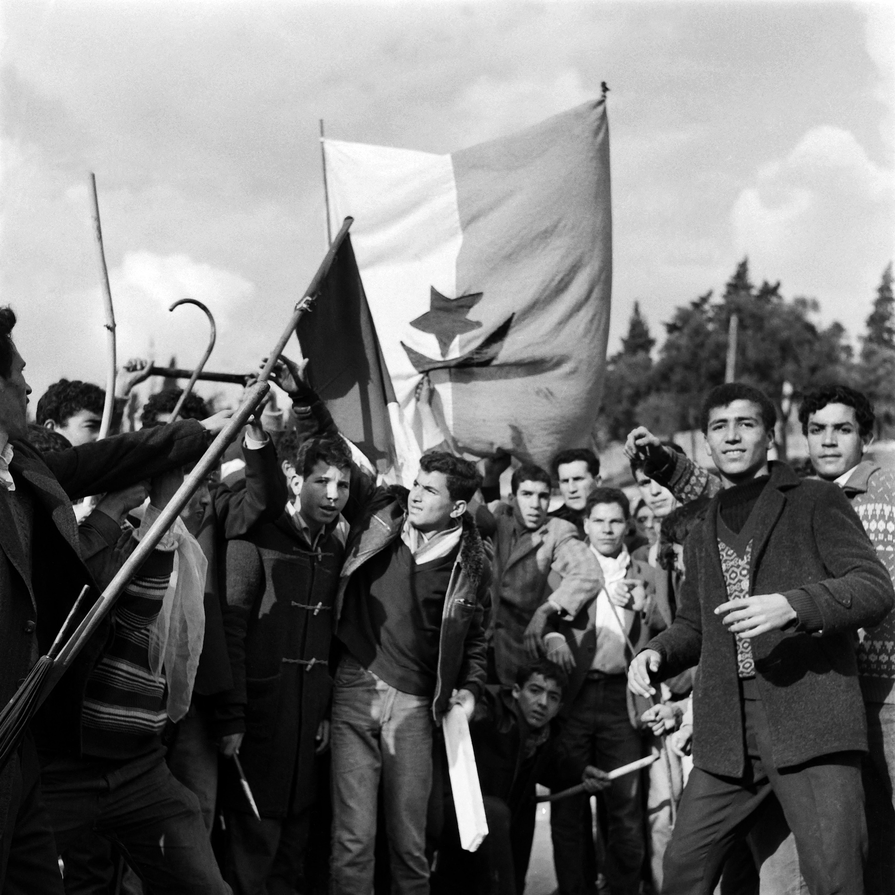 Algerian guerilla