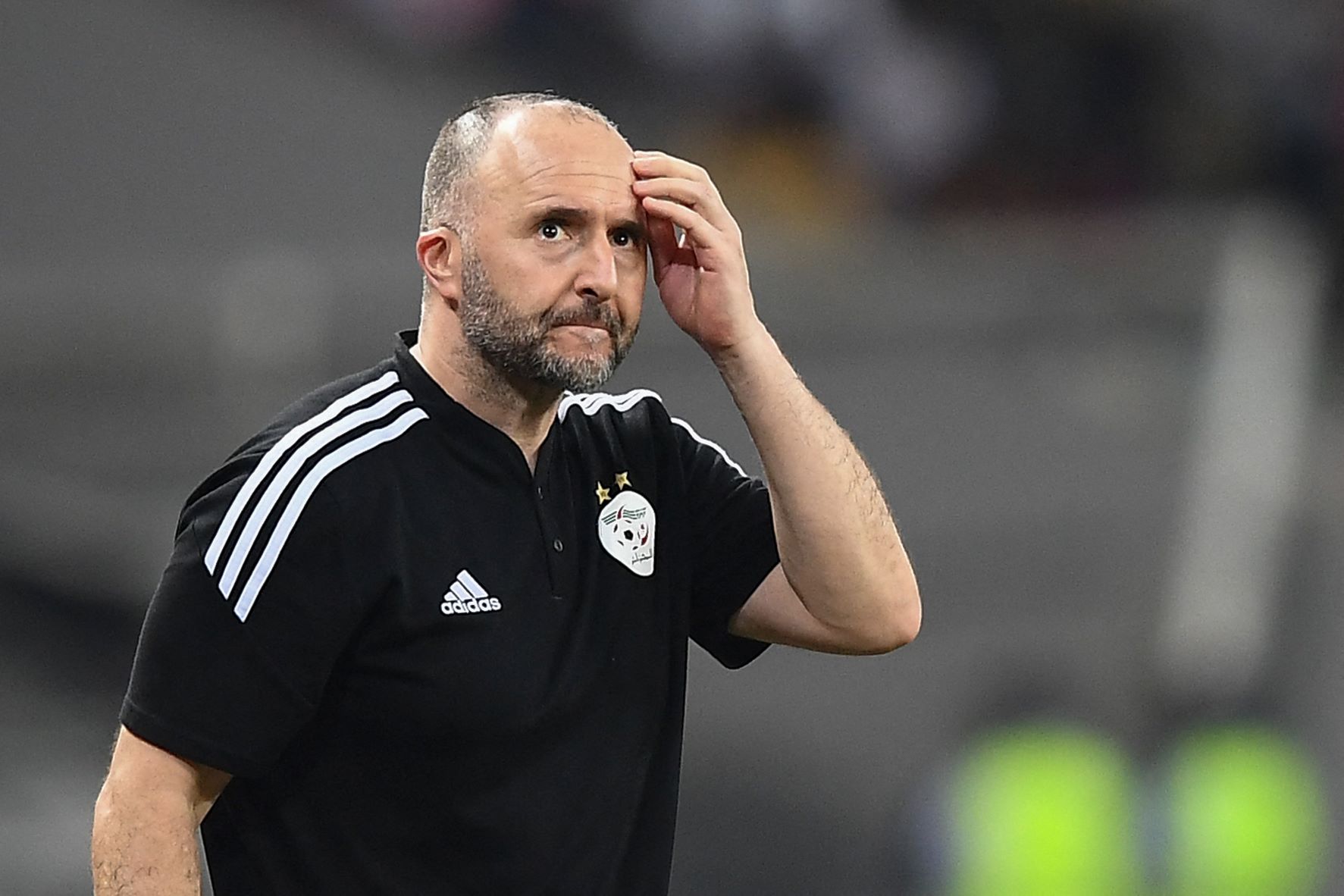 Belmadi Algeria coach
