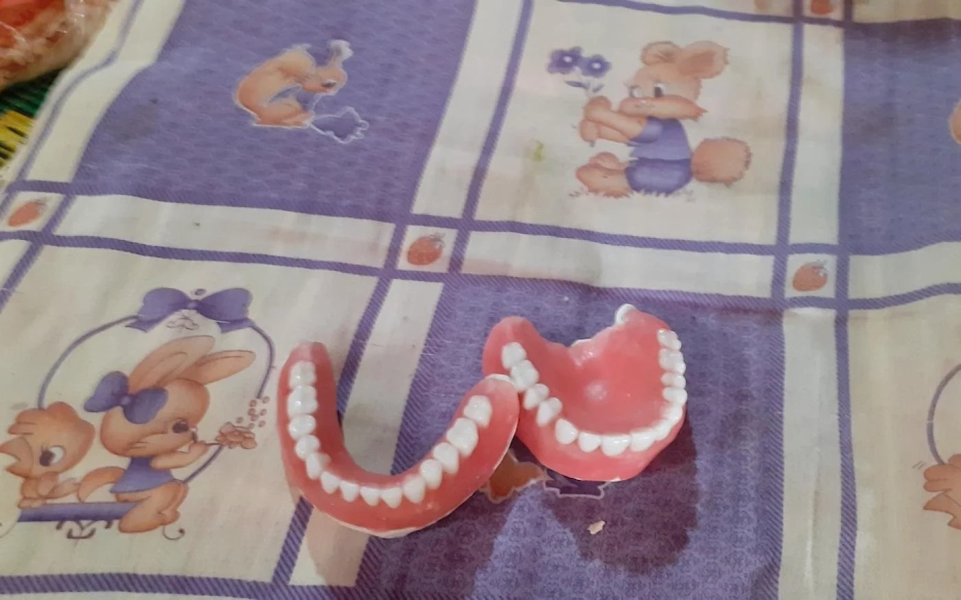 lebanon doms dentist2
