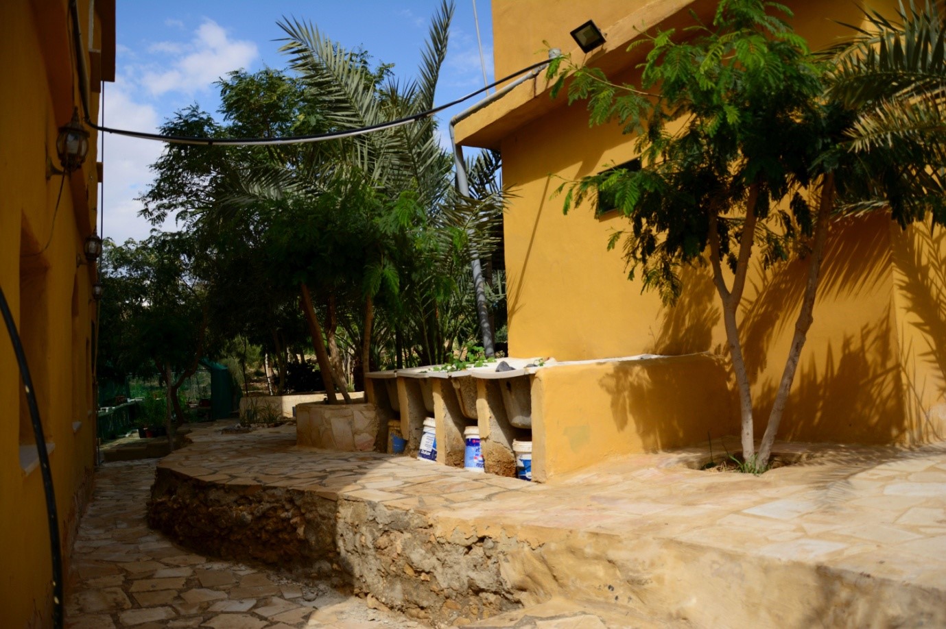 Greening the Desert uses techniques like inter-cropping trees, water harvesting and resource recycling