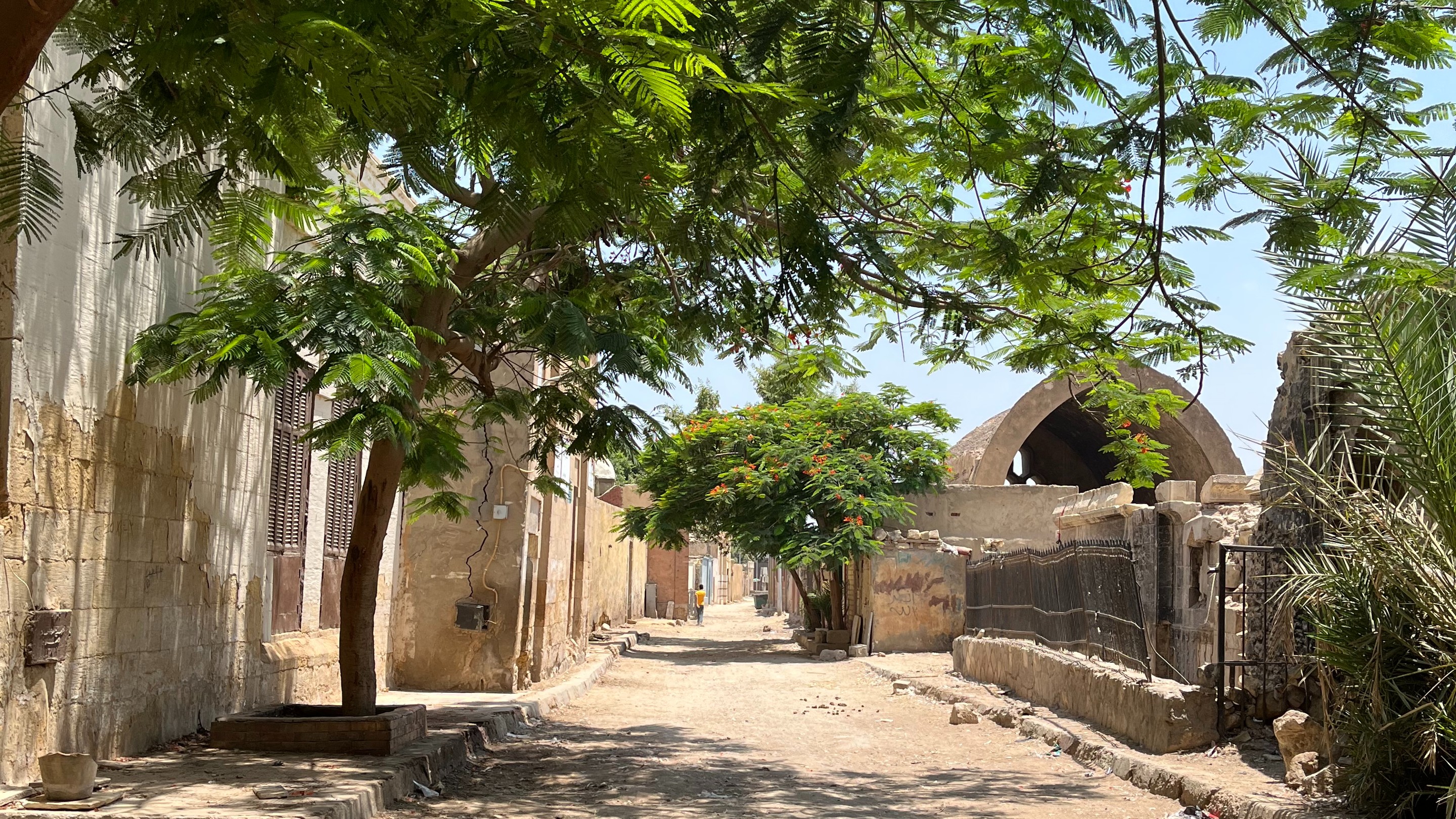Trees and bushes can be seen jutting out of mausoleums in Cairo's city of the dead.