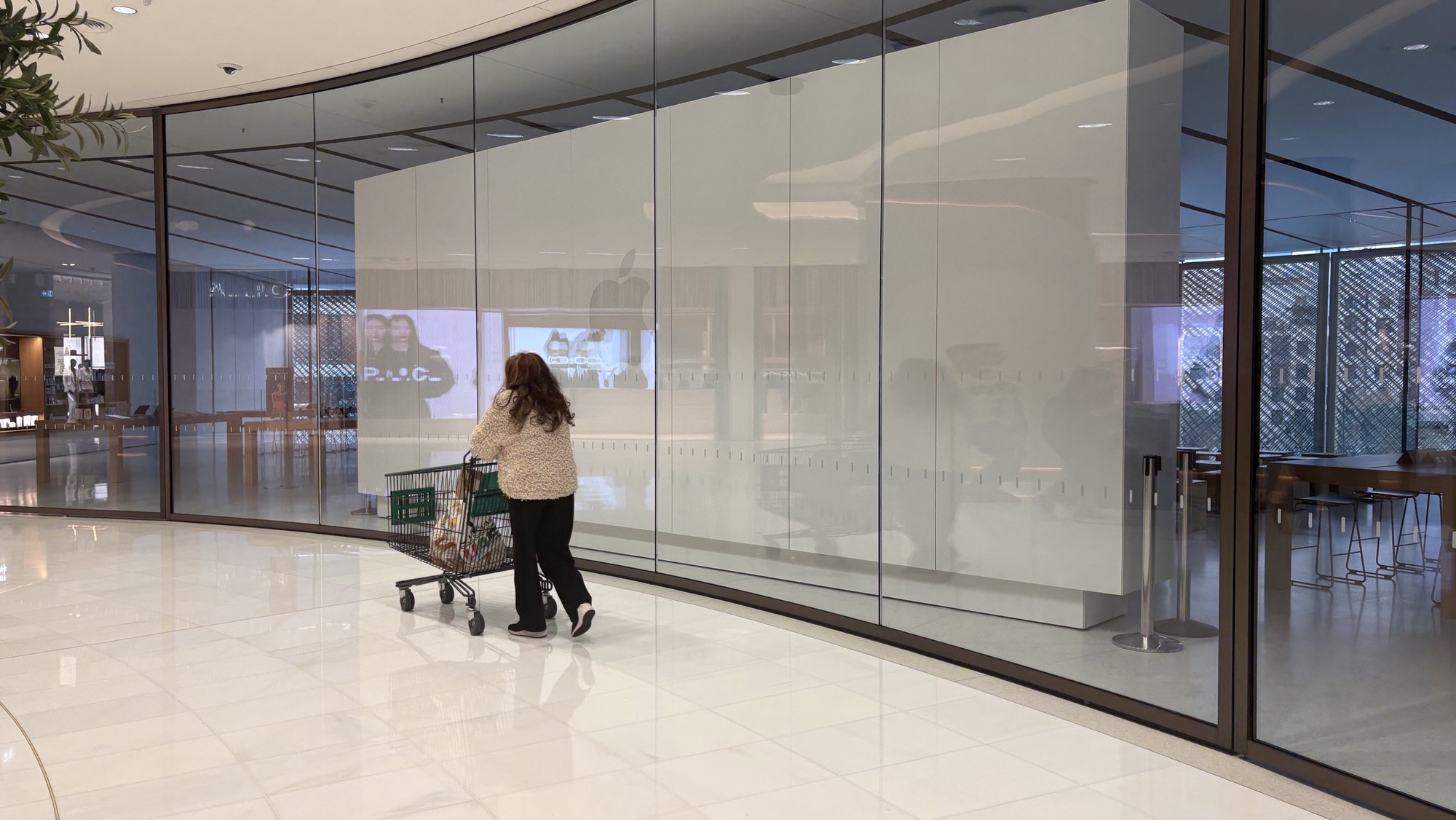 A woman walks past the closed Apple story in a mall in Dubai (MEE)