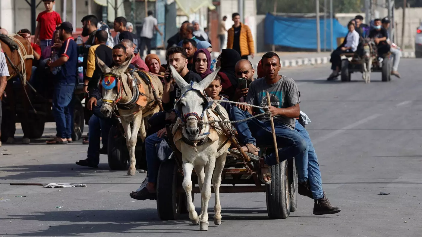 animal cart gaza palestine