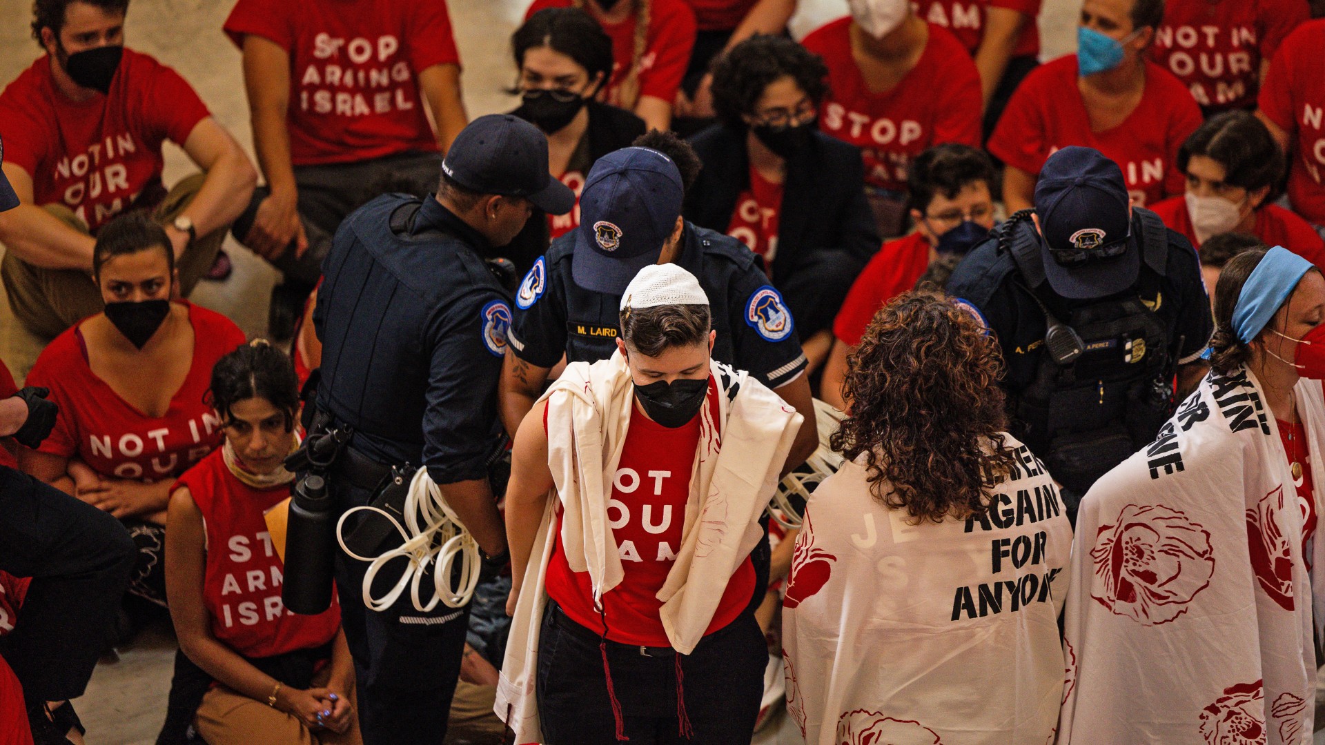 Demonstrators from Jewish Voice For Peace (JVP) are taken into custody at pro-Palestinian protest in Washington, DC on 23 July 2024 (AFP)
