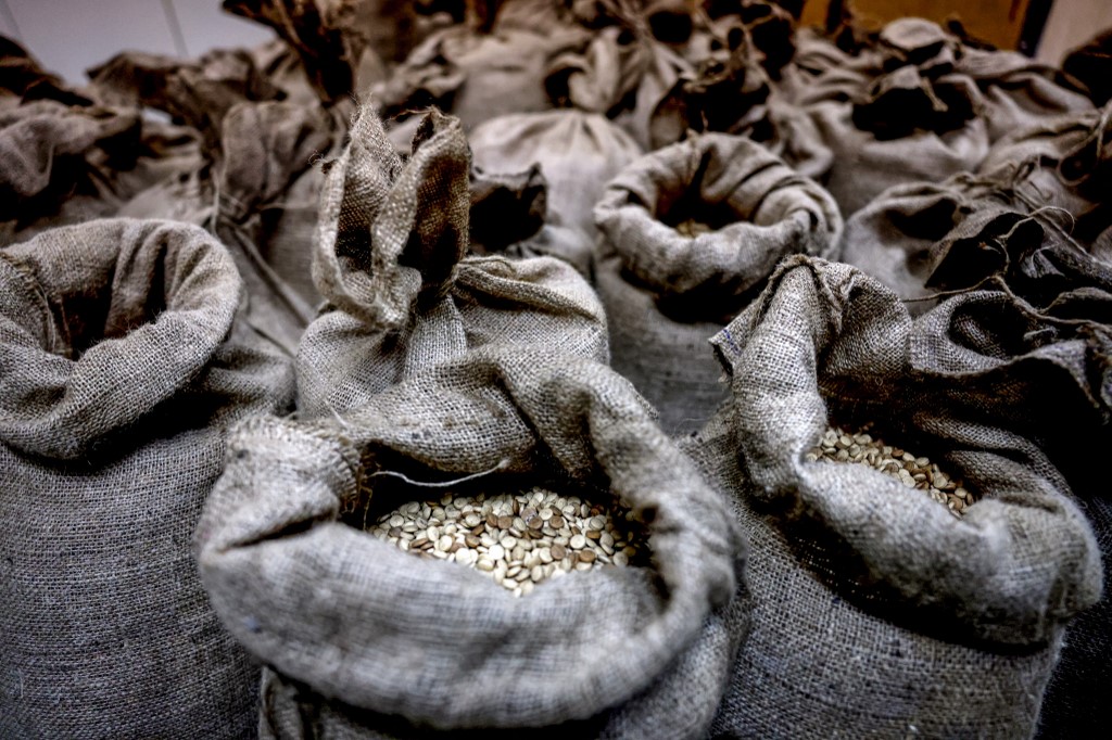 Sacks of confiscated captagon pills at the judicial police headquarters in the town of Kafarshima, south of Lebanon's capital Beirut, on 27 July 2022 (Joseph Eid/AFP)