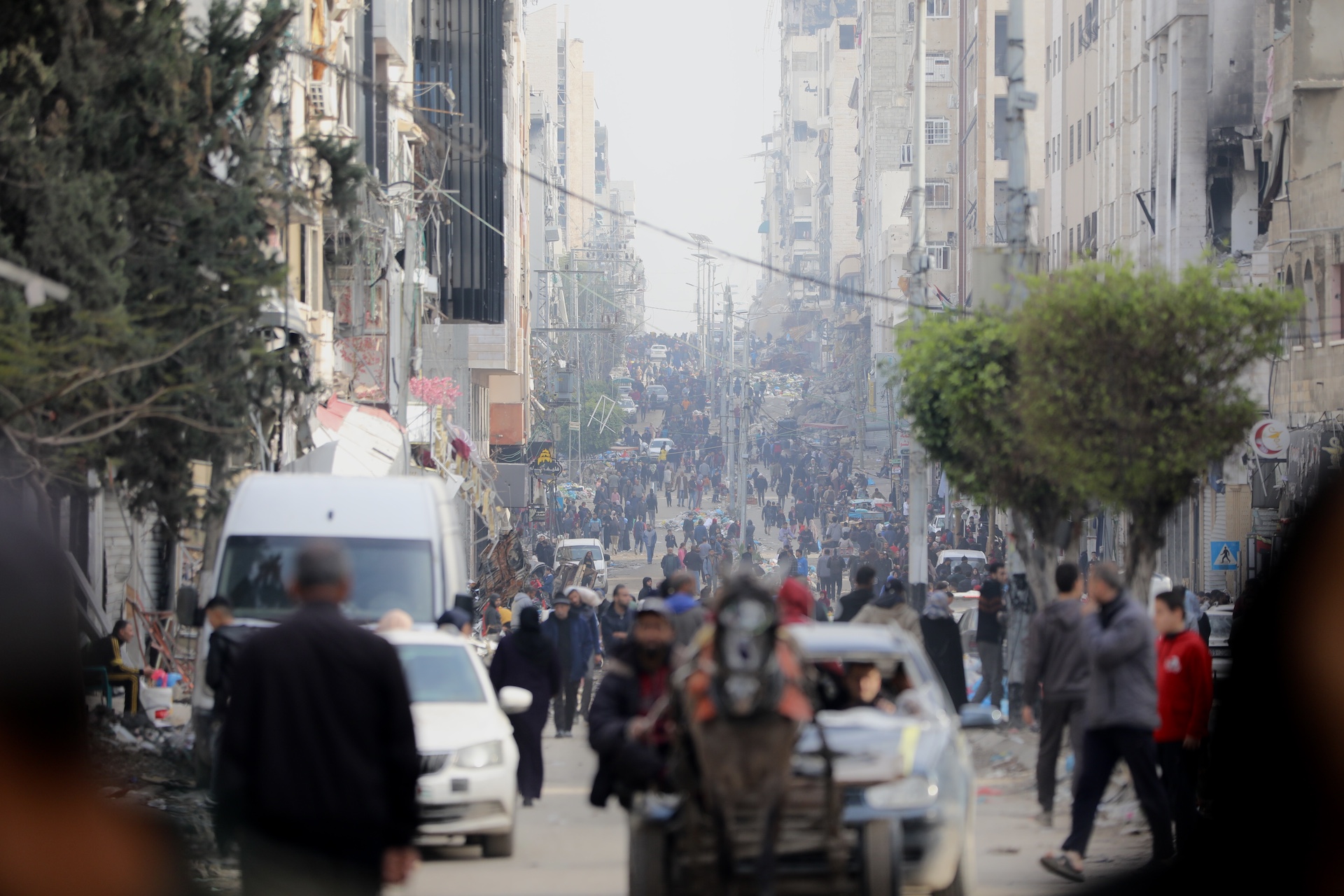Photograph: Mohammed al-Hajjar/MEE