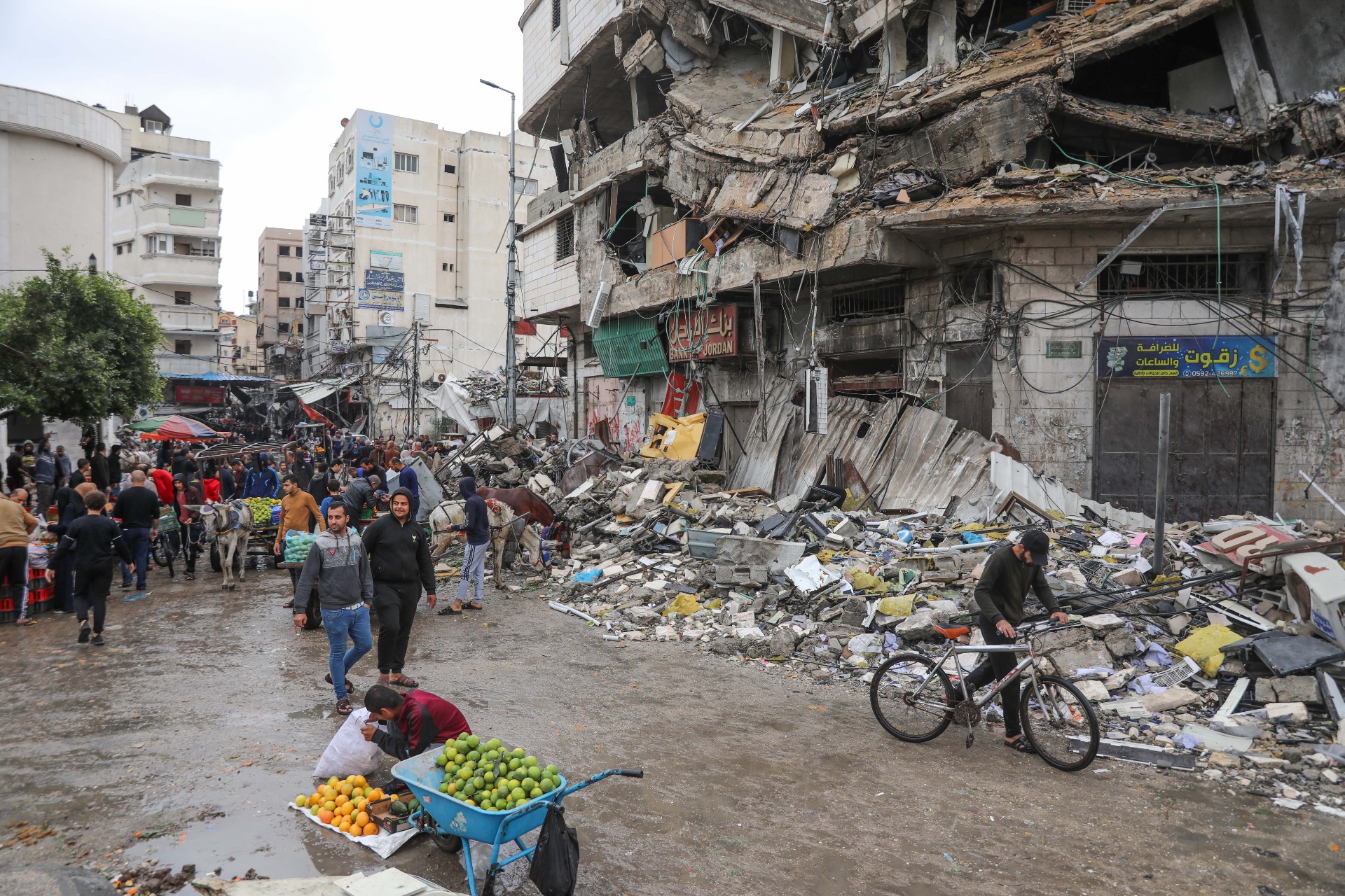 Gaza