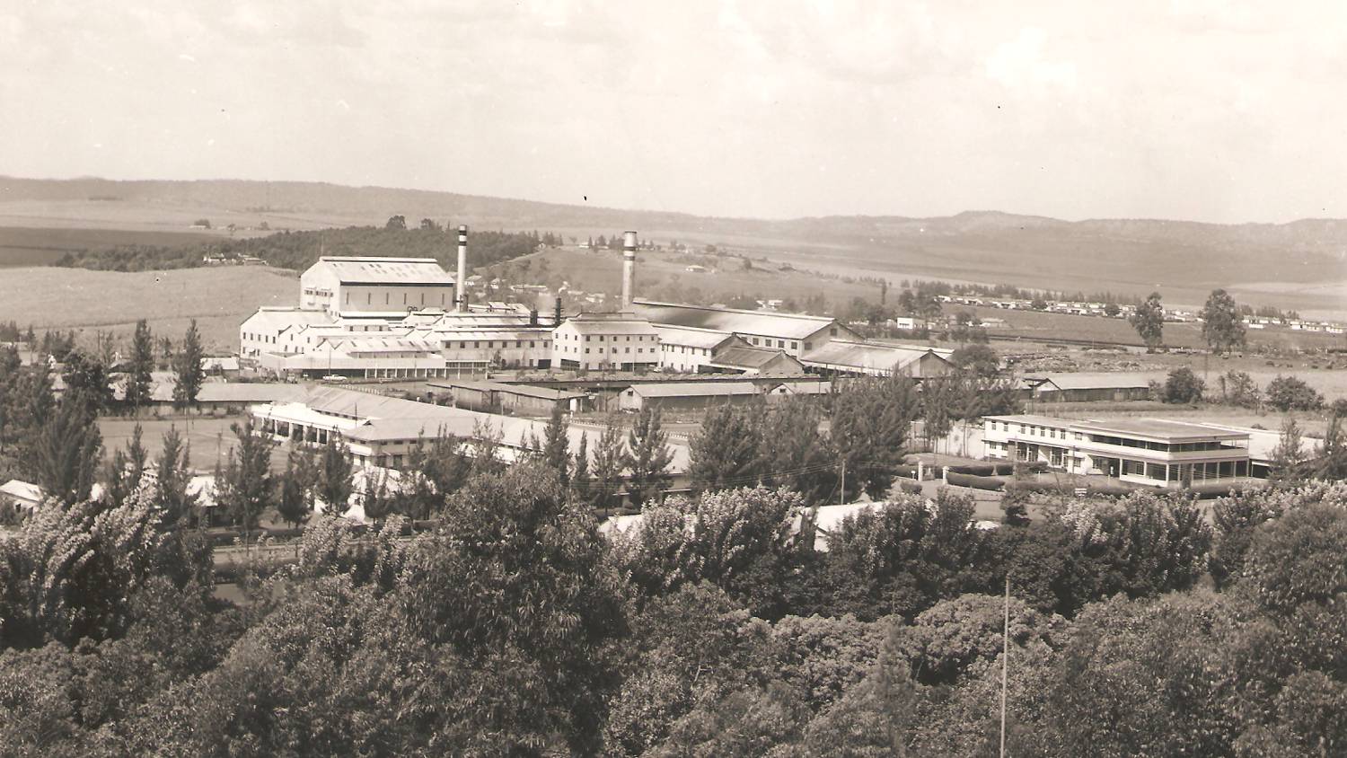 The Madhvani sugar factory run by a Gujarati family is an example of one of the&nbsp;many&nbsp;successful Indian run businesses in Uganda (Ghanshyambhai N Patel)