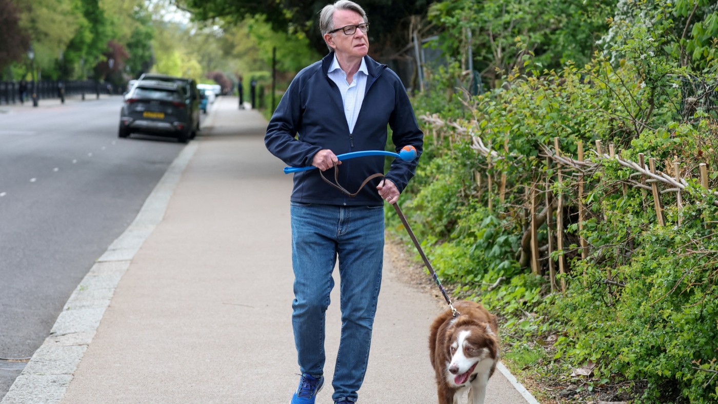 Mandelson dog walking