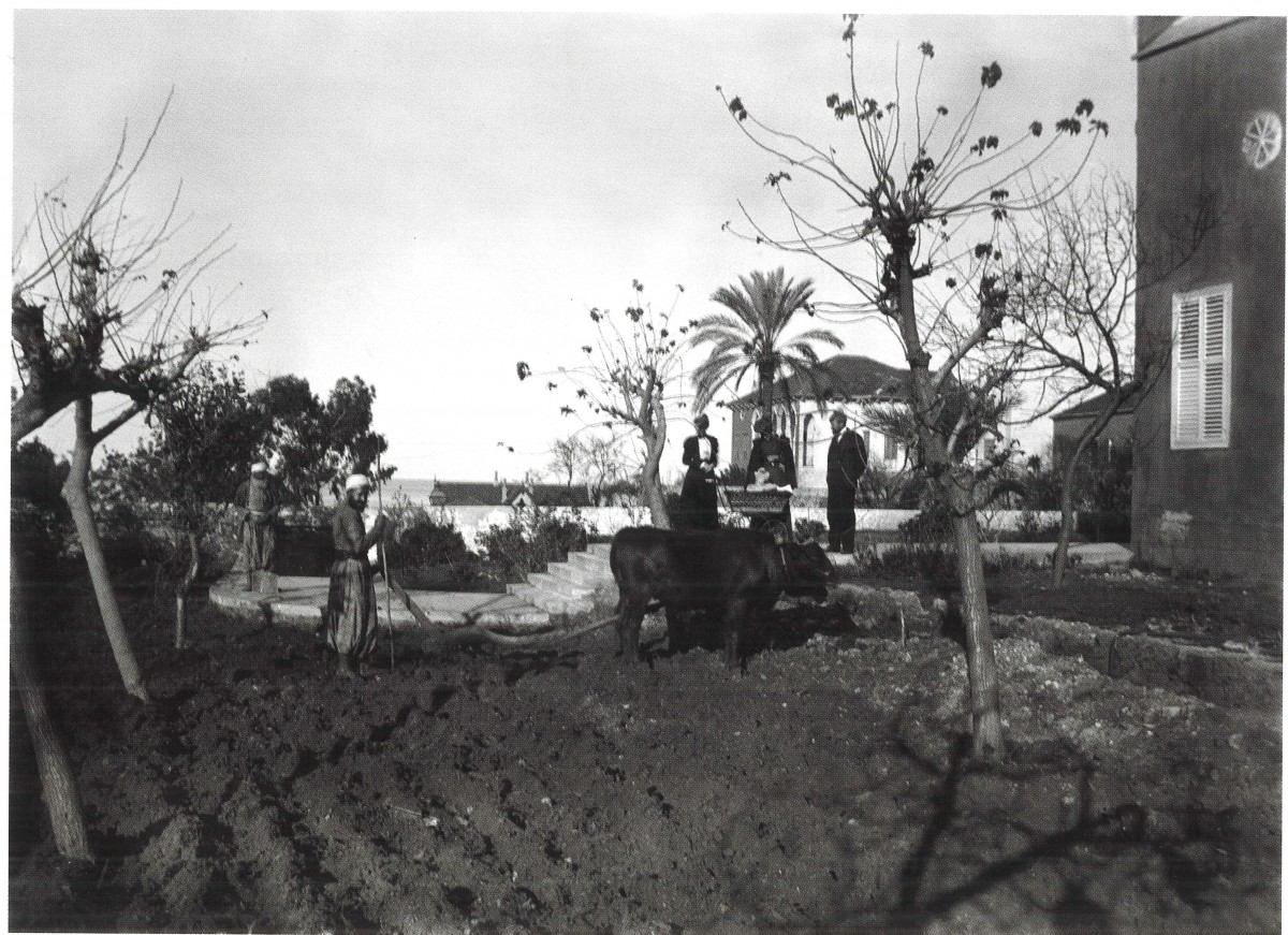 Mary Bliss Dale and friends watch workers plowing, photographed by Franklin Moore  American University of Beirut, University Libraries, Archives and Special Collections.