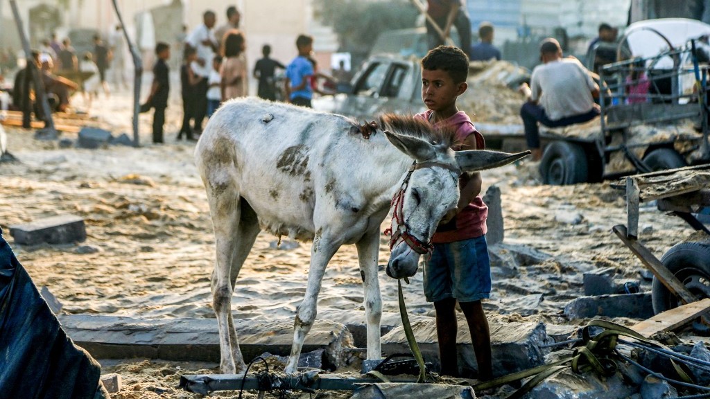 A boy strokes the neck of a donkey as they stand amidst rubble following overnight Israeli bombardment on the Japanese neighbourhood in the northwest of Khan Yunis in the southern Gaza Strip on July 28, 2025. AFP