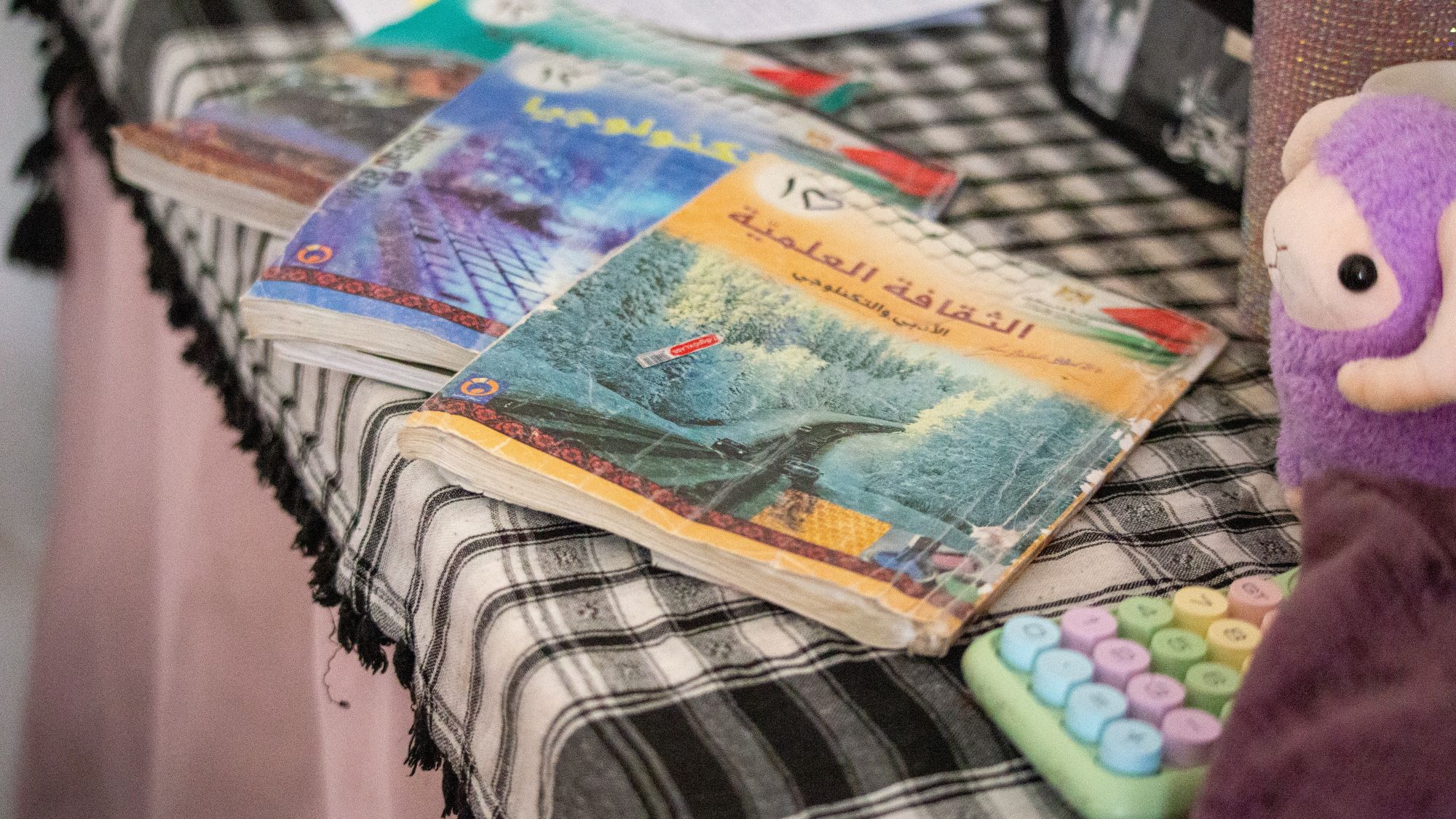 A set of Nada Bani Odeh's textbooks (Mojahid Nawahda/MEE)