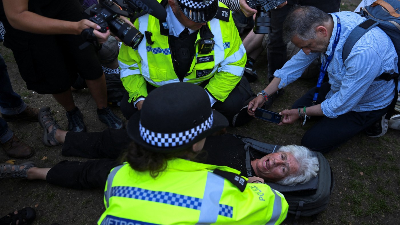 Palestine Action arrest