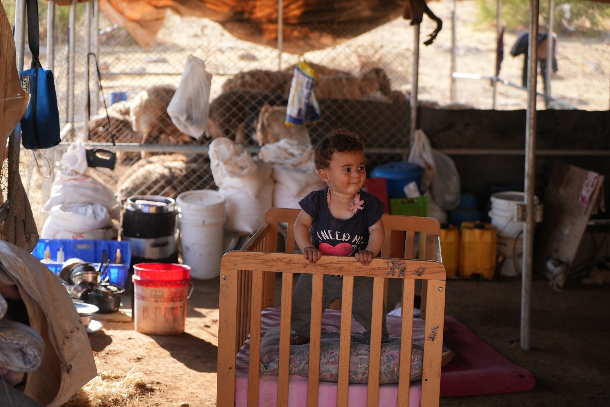 A child stands in her crib amidst the things her family was able to salvage after Israel demolished Khirbet Humsah. The children now share the same tent as the sheep (MEE/Akram al-Waara)