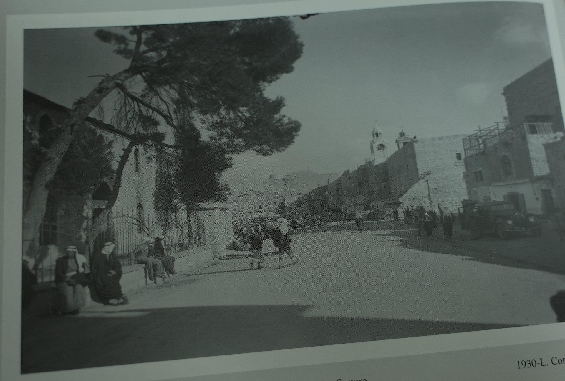 Une photo de la collection de Maurice Michel montre l’arbre qui décorait autrefois la place de la Mangeoire à Noël en 1930 (MEE/Akram Alwara)