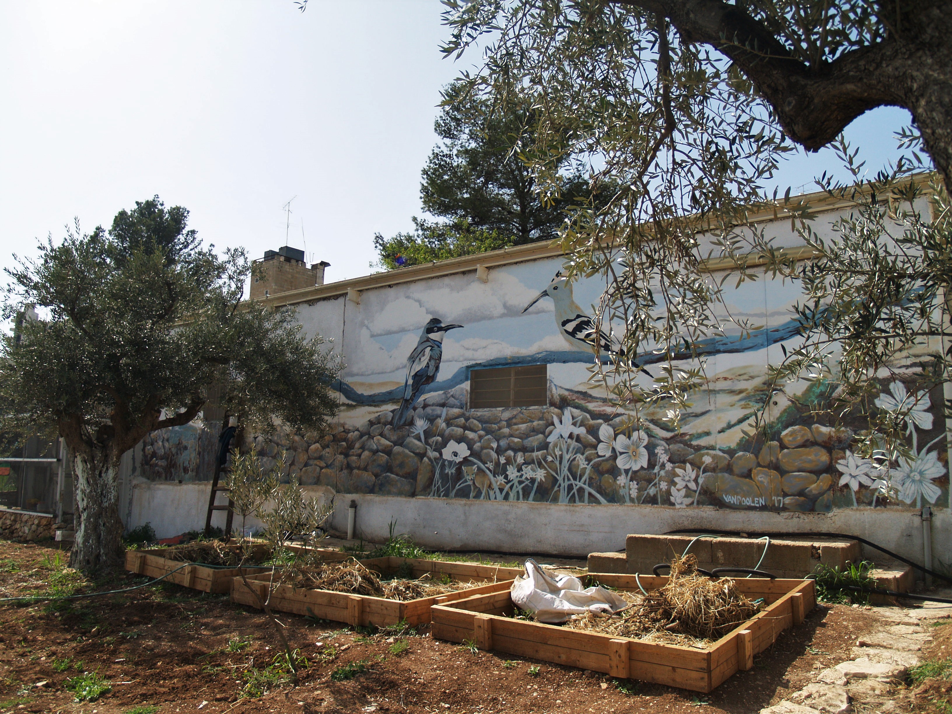 Plots of land designated for the new community garden project, situated in from the the museum's animal room and atrium