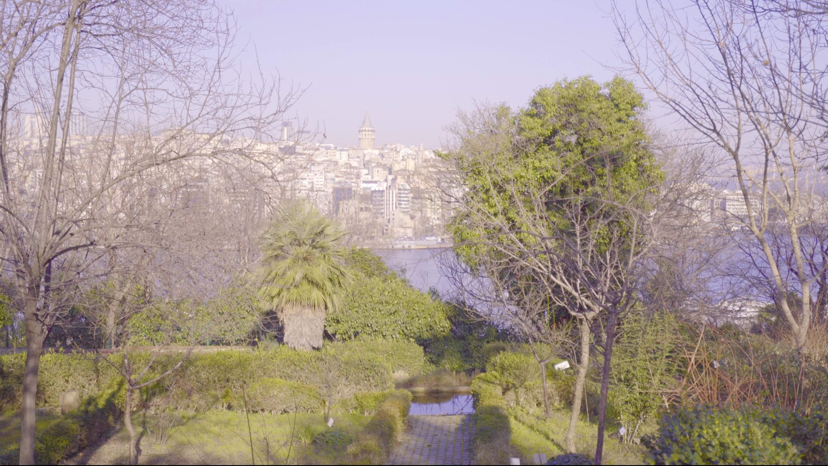 Istanbul Heilbronn Botanic Garden