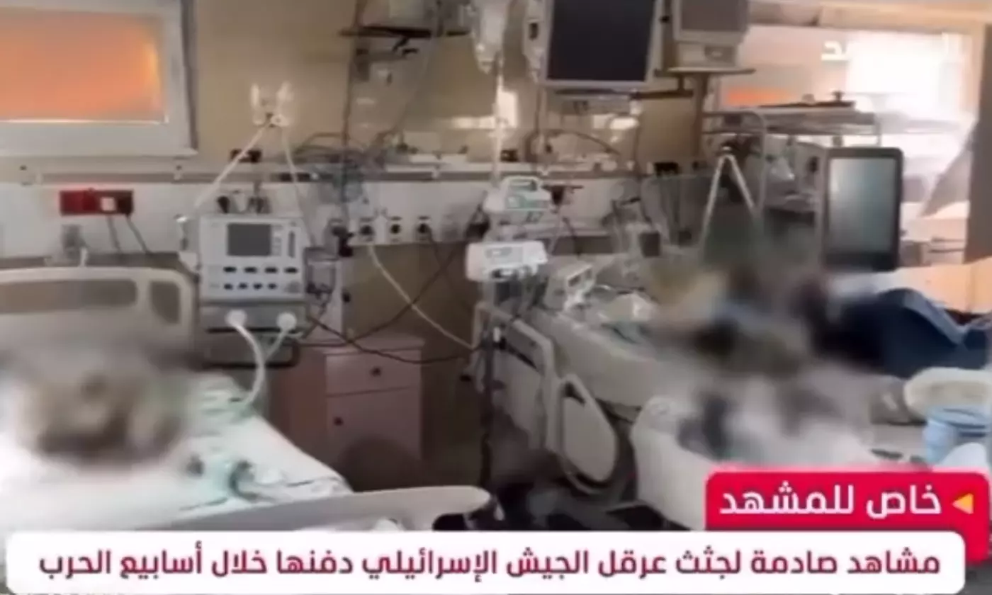 premature babies dead gaza