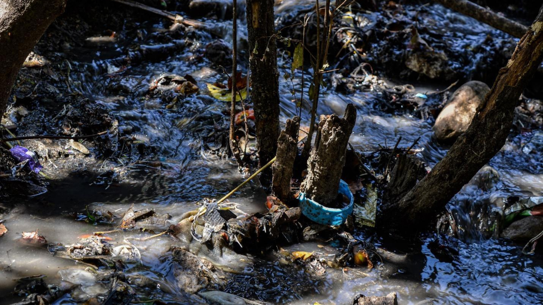 ​Black water runs between houses in the town of Shaqlawa, Iraqi Kurdistan (Lyse Mauvais)