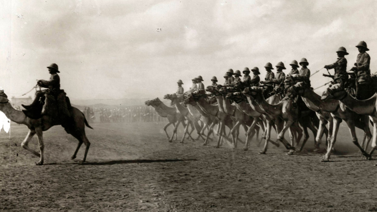 Somali Camel Corps