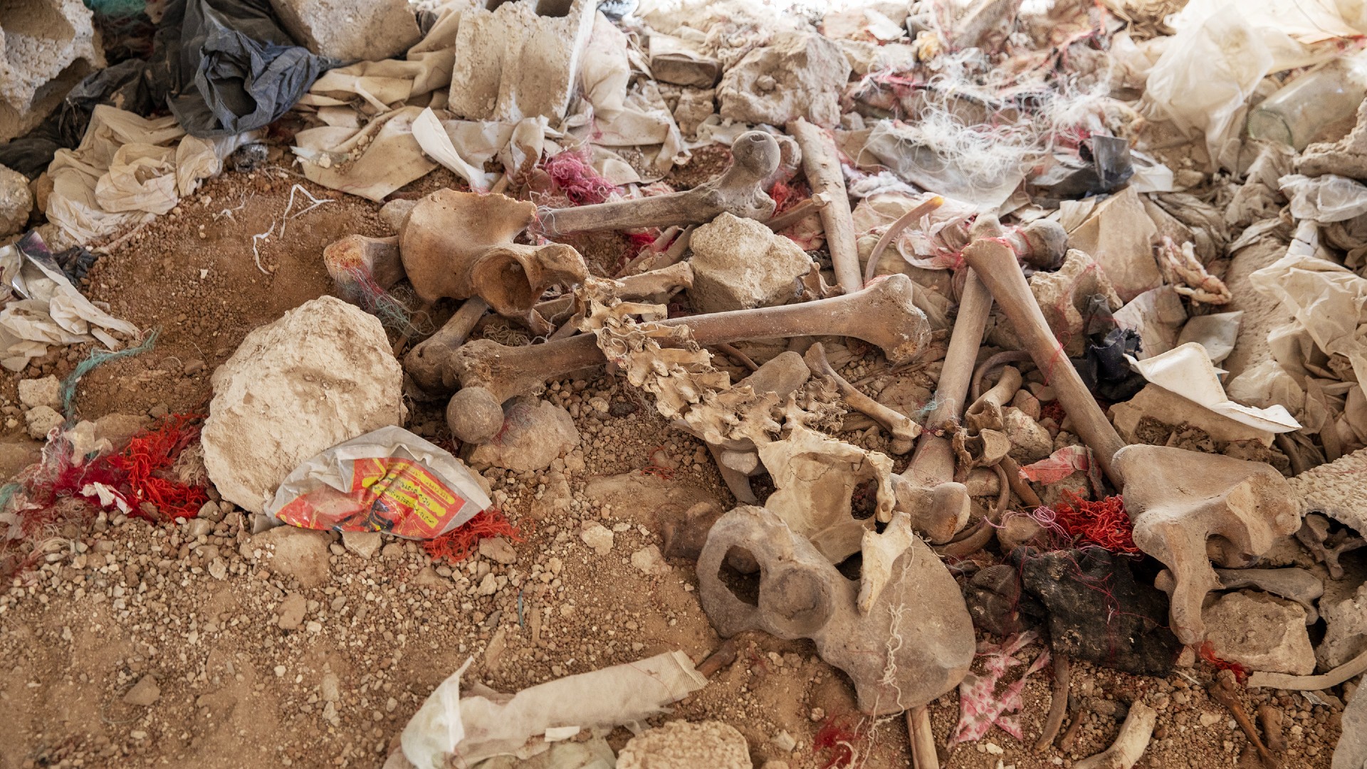 A pile of bones found in Tadamon on Thursday 