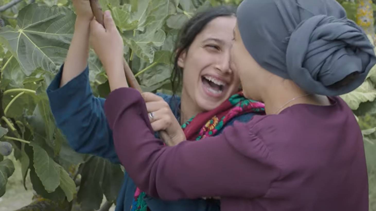 Under the Fig Trees is described as a sensory experience, an engulfing celebration of life (screengrab)