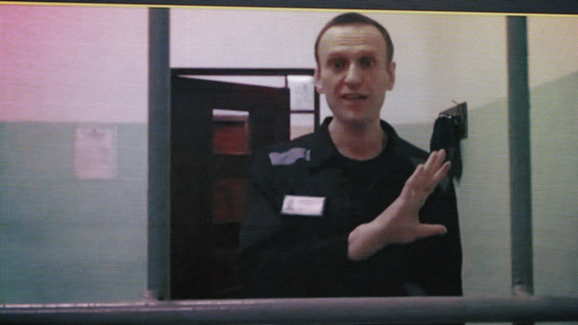 Russian opposition leader, Alexei Navany