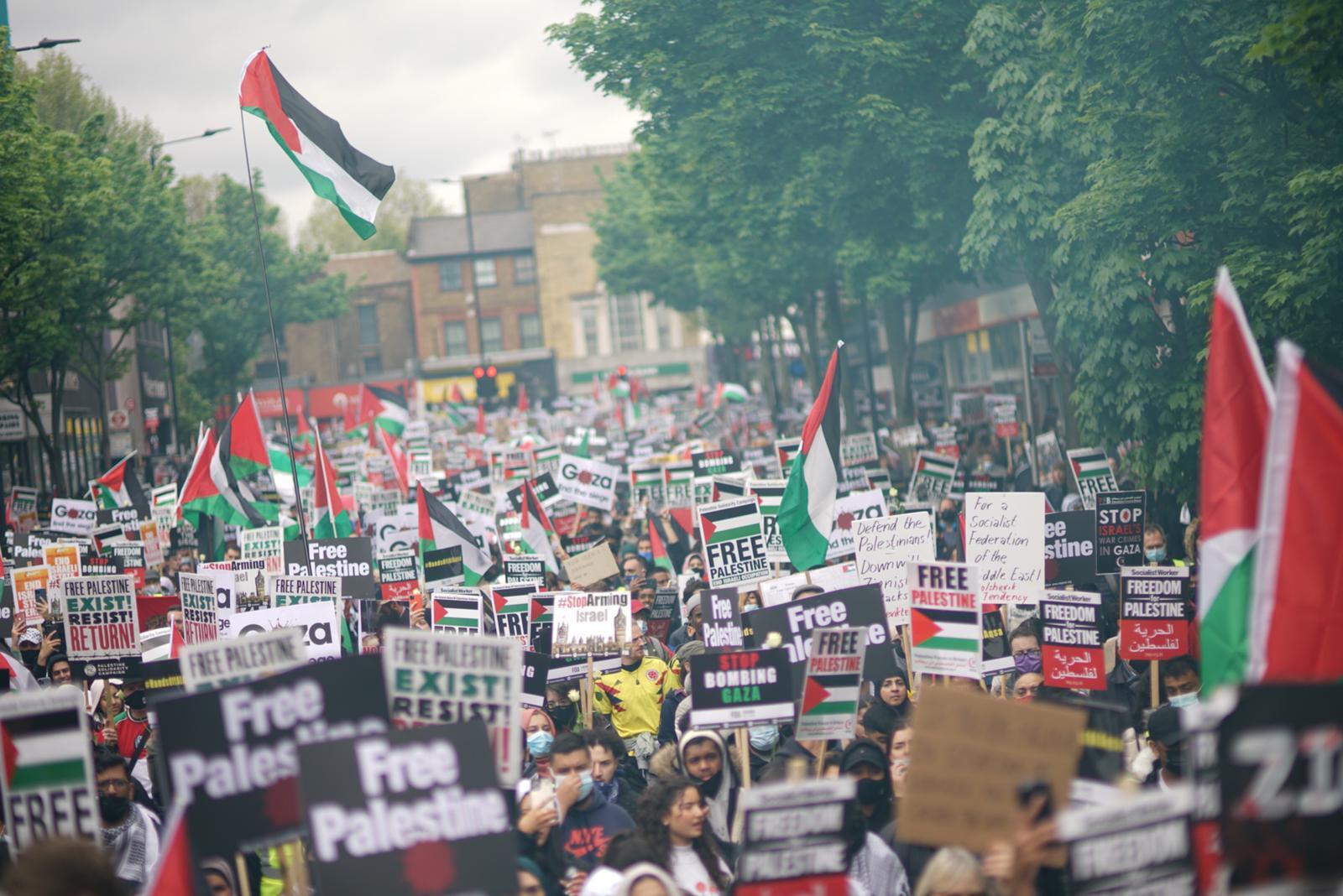 Pro-Palestinian protesters crowd the streets of London (MEE)