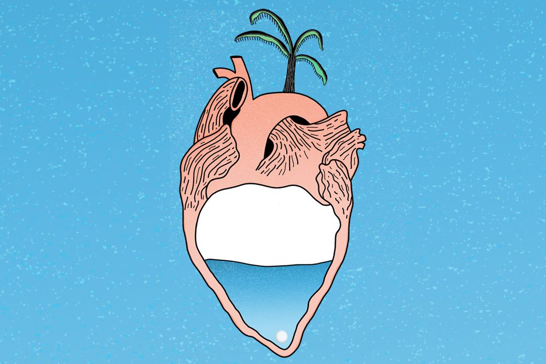 Common themes that run through the poems in the anthology are the sea, trees, ancestry and identity (Al-Fanar)