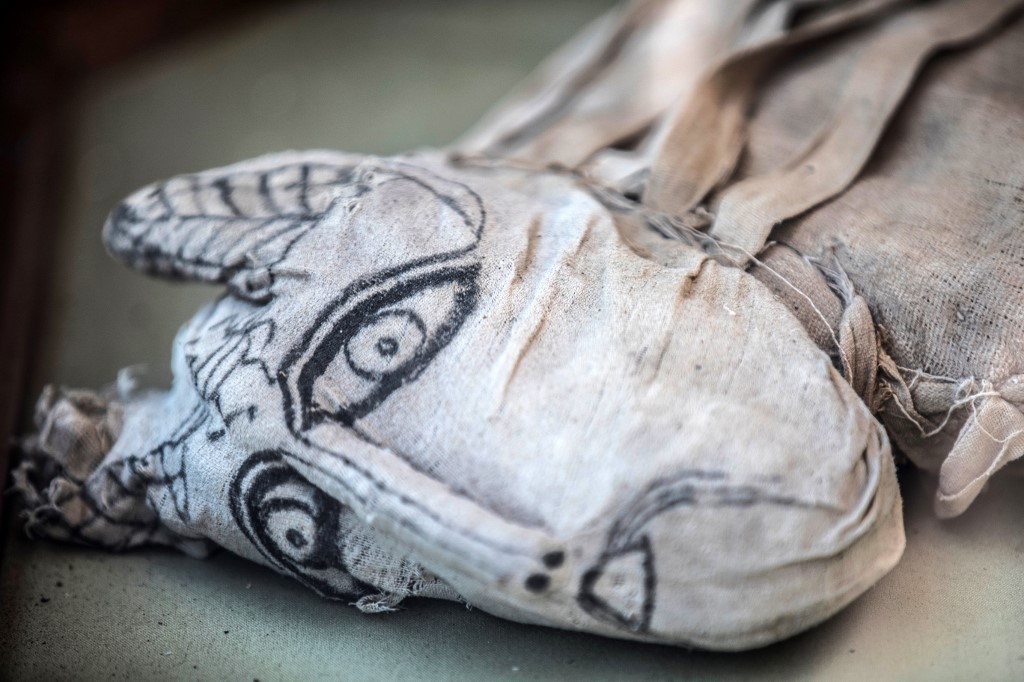 Mummy of feline displayed after announcement of discovery south of Cairo on Saturday (AFP)