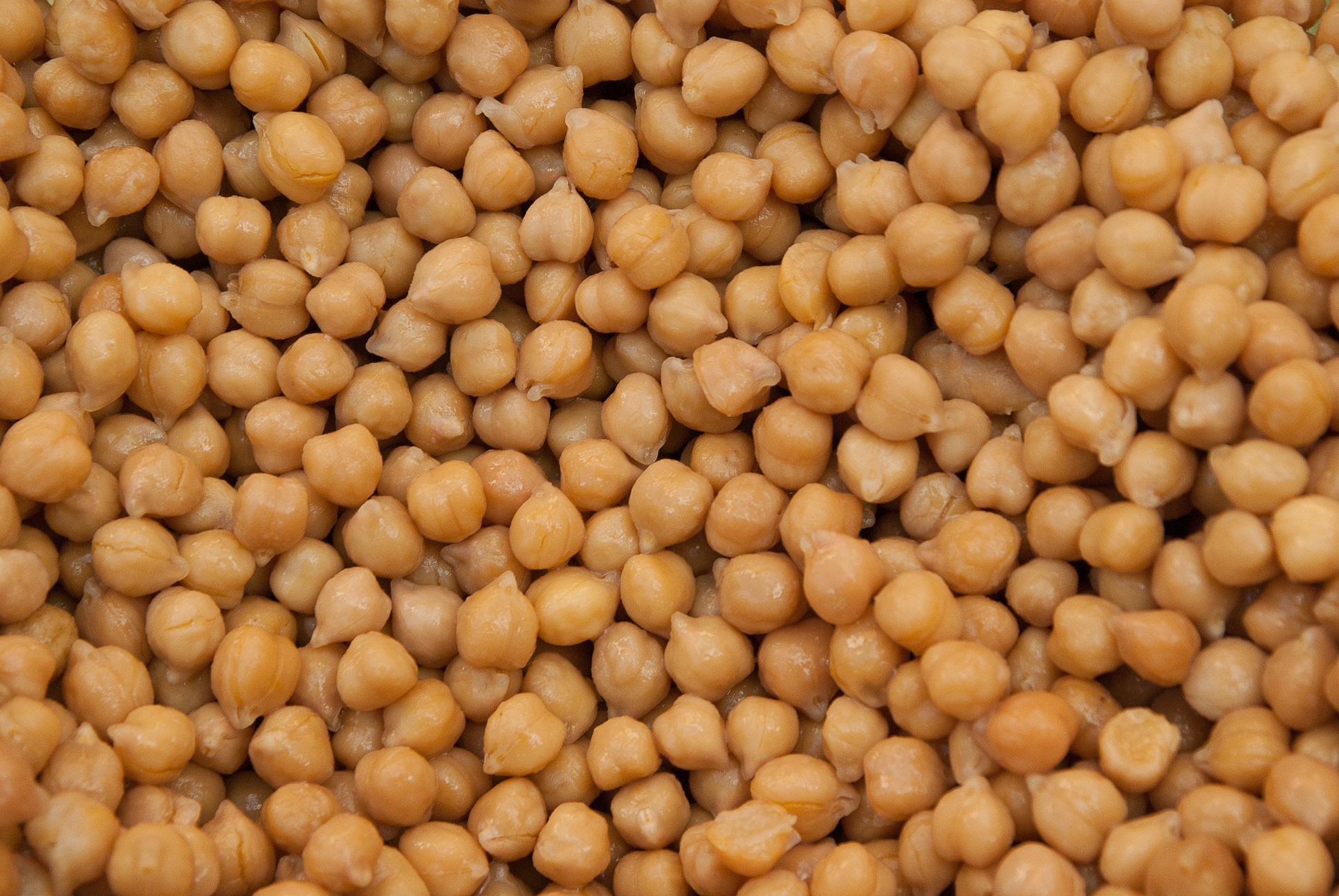L’humble pois chiche, point de départ du houmous (Pixabay)