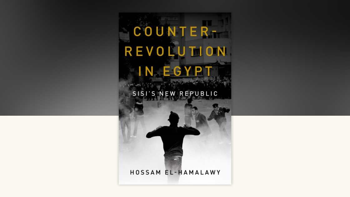 counter-revolution-in-egypt.