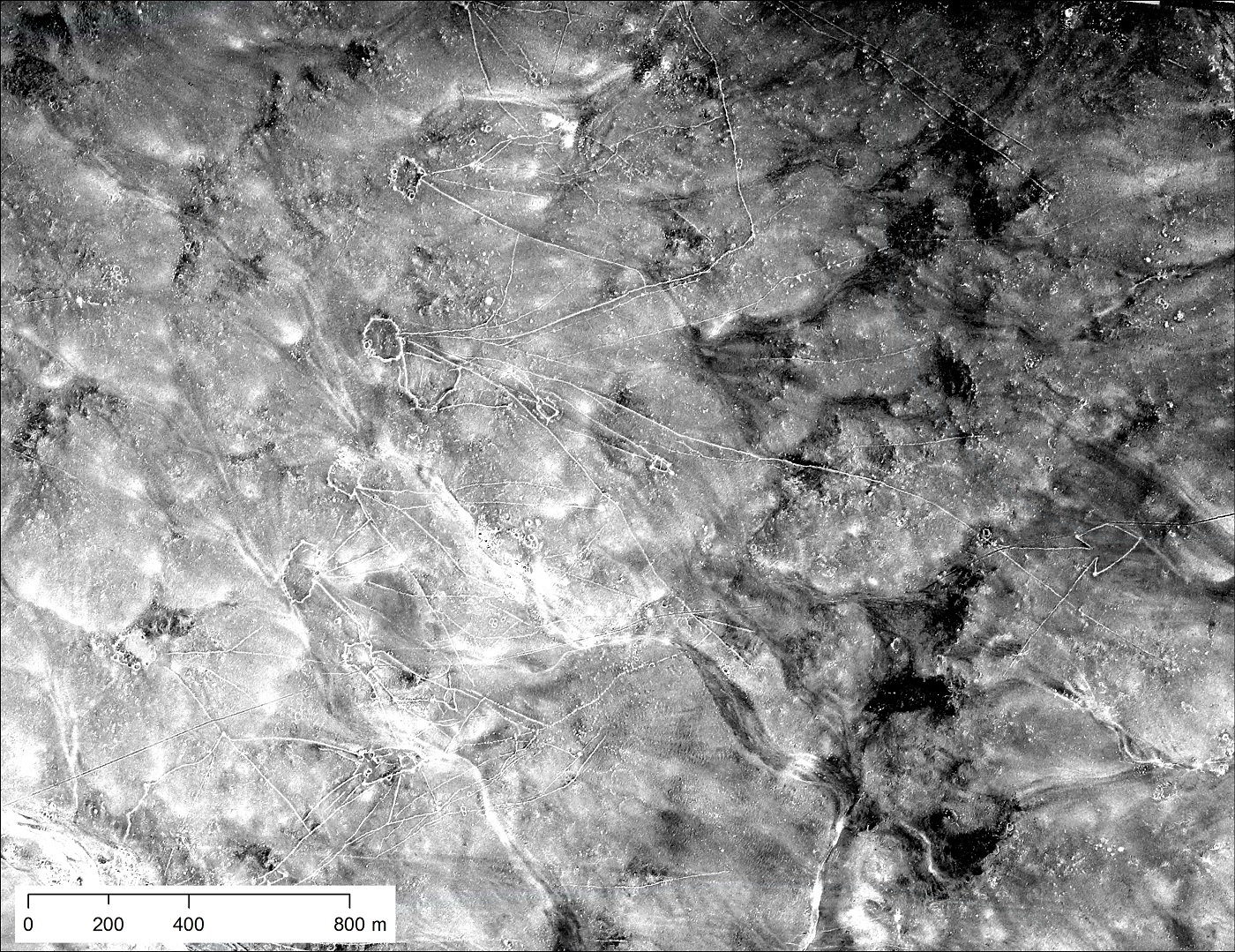 Desert kites Jordan U2 1960