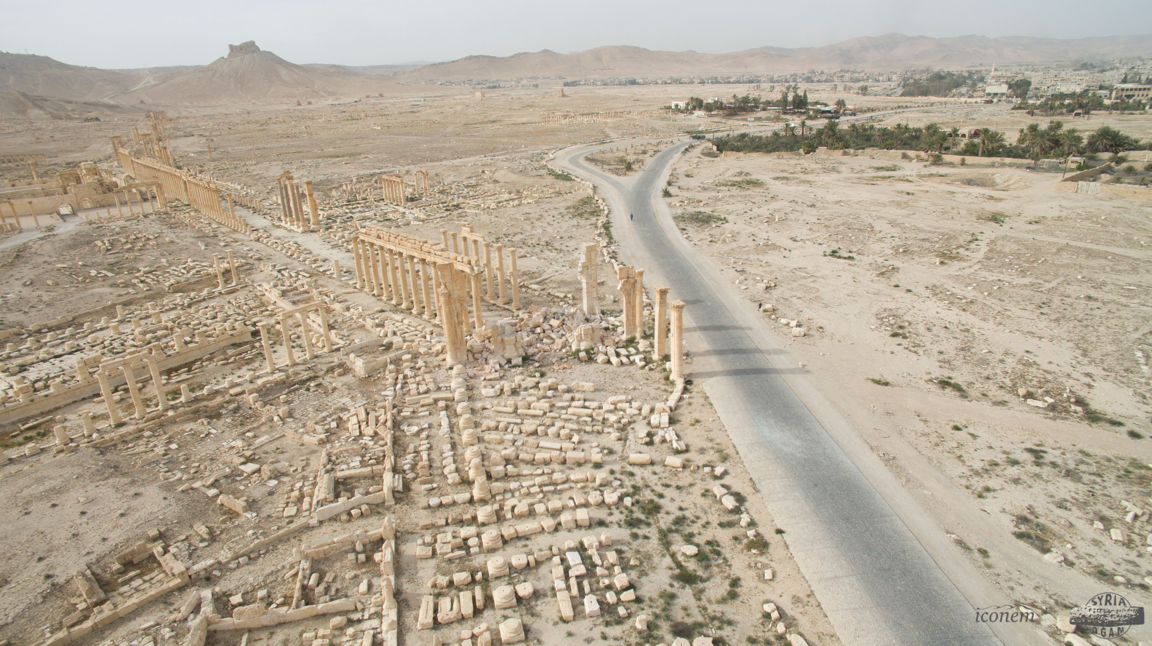 Palmyra