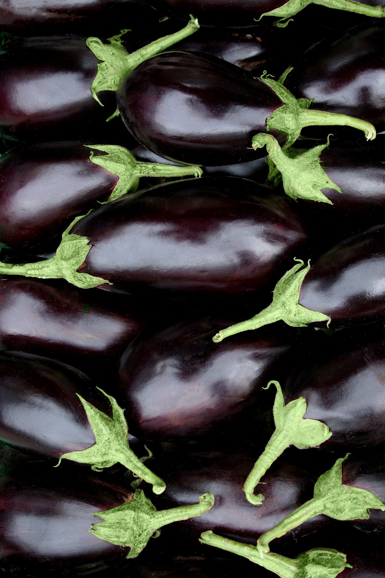 eggplants