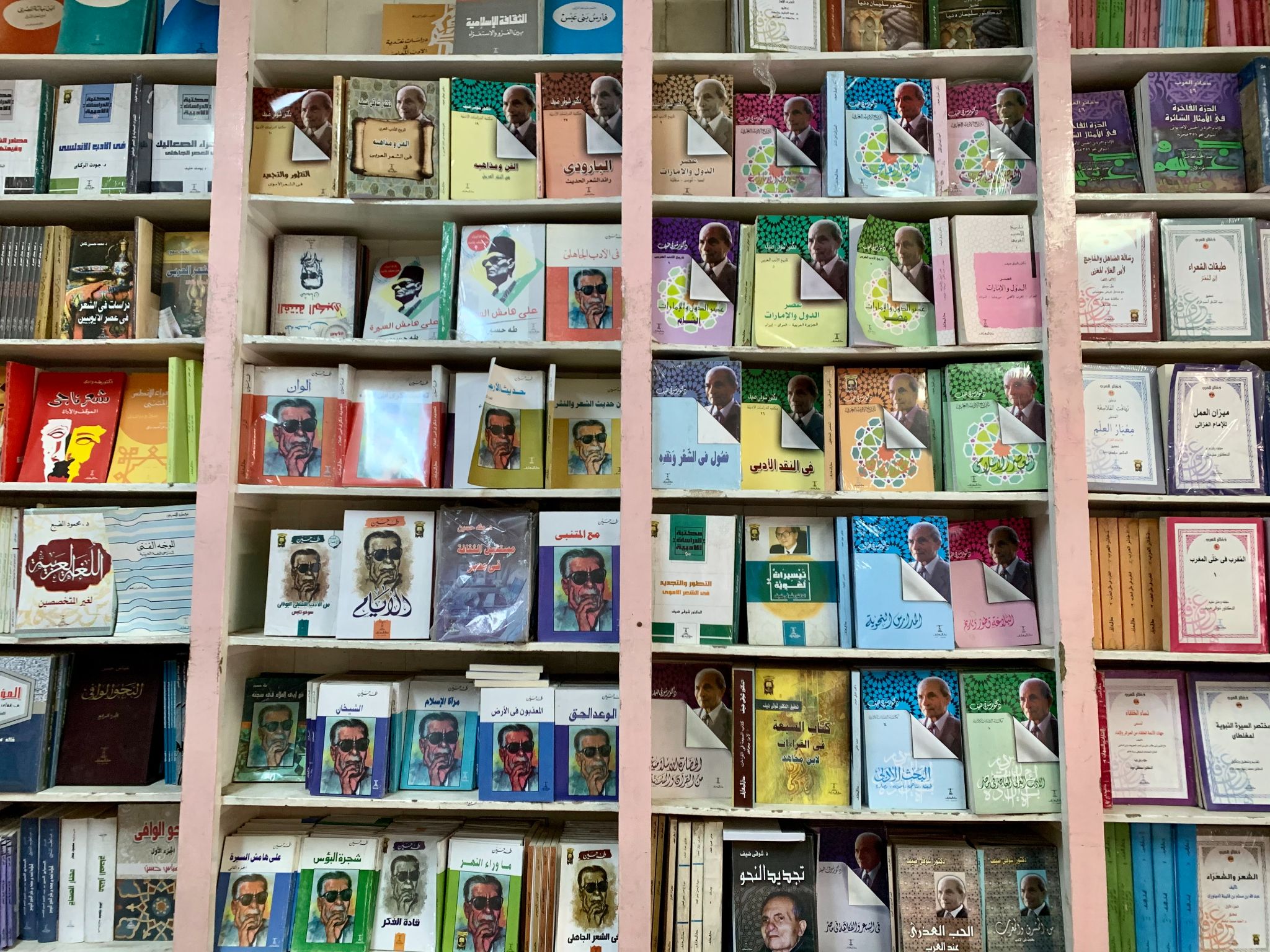 Dar El Maaref is one of the city's oldest bookshops and publisher (MEE/Bahira Amin)