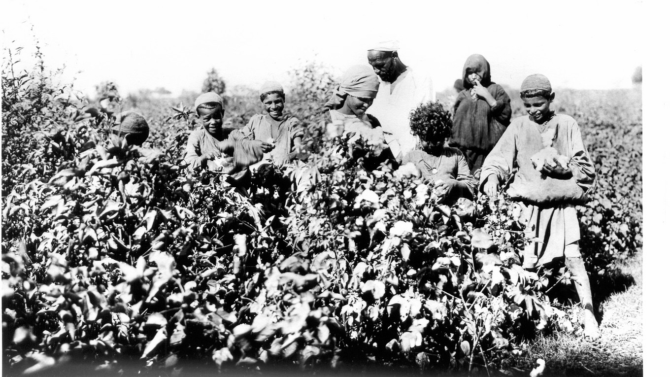 farming egypt photographs