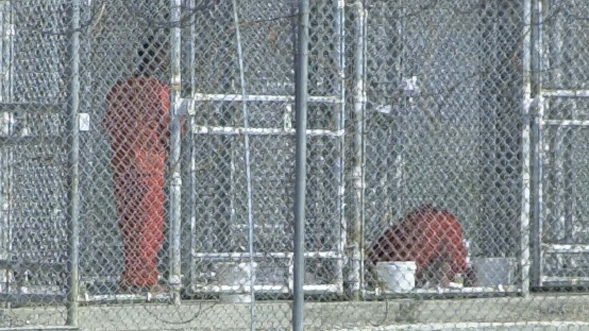 A prisoner (R) prays in his cage on 14 February 2002 as another detainee looks on (Peter Muhly/AFP)