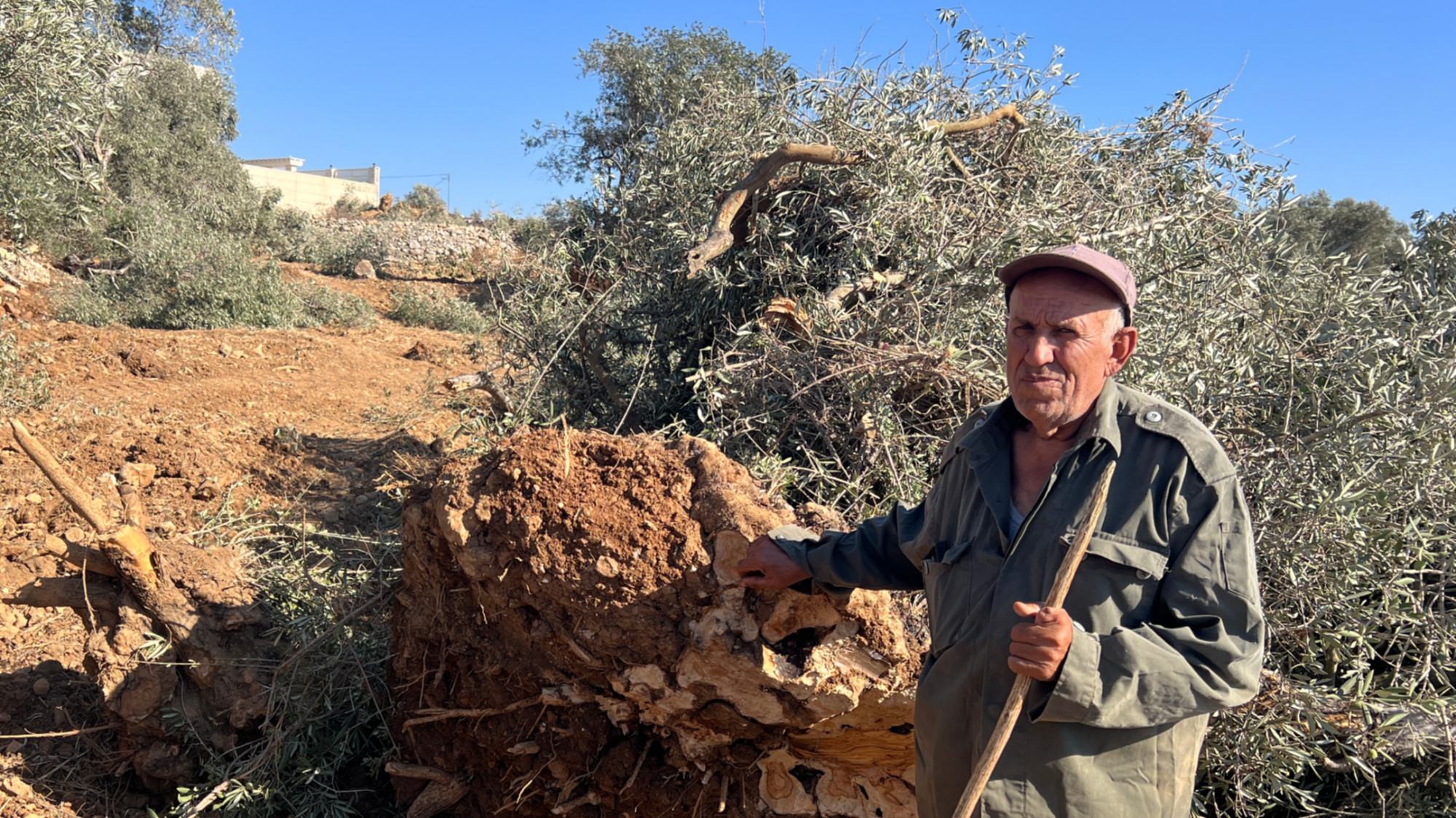 standing beside a trees uprooted by Israeli forces on his backyard, in Deir Nizam, northwest of Ramallah in the occupied West Bank (Mohammed Turkman/MEE)