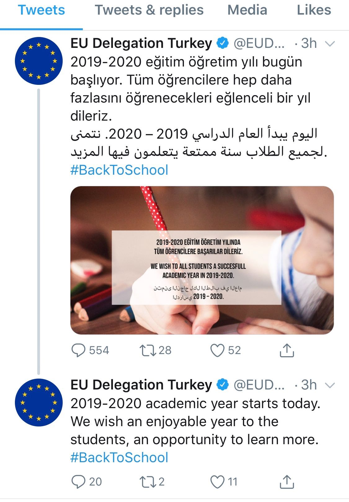 The EU Delegation to Turkey took down its tweet and issued a clarification (Screengrab)